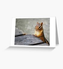 Good Morning, Chippie! Greeting Card