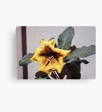 The flower Canvas Print
