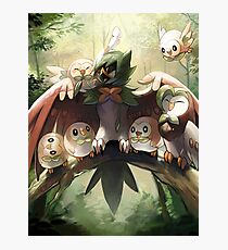 Decidueye Familia con Rowlet y Dartrix / Decidueye's Family with Rowlet and Dartrix Photographic Print