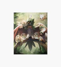 Decidueye Familia con Rowlet y Dartrix / Decidueye's Family with Rowlet and Dartrix Art Board