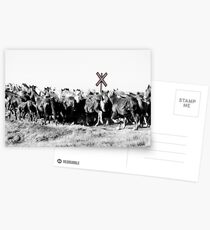 Crosswalk Postcards