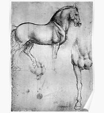 LEONARDO, HORSE, Drawing, Leonardo da Vinci, Study Of Horses Poster