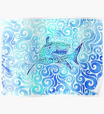 Swirly Shark Poster
