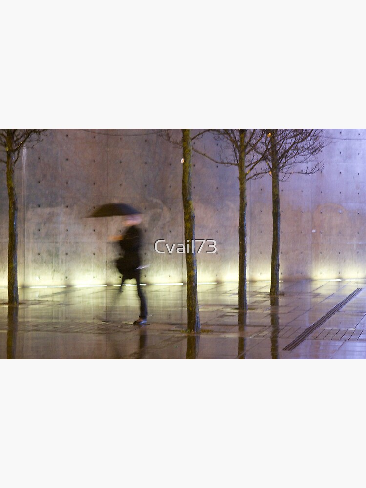 Passage of time in a concrete jungle by Cvail73