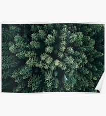 Forest Drone - Landschaftsfotografie Poster
