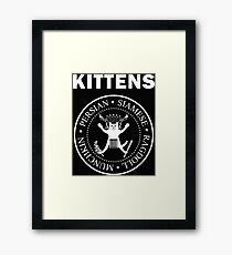 Kittens Framed Print