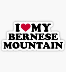 I love my Bernese Mountain Sticker