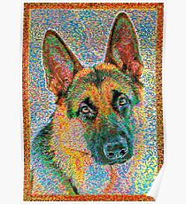 Bunter Schäferhund Poster
