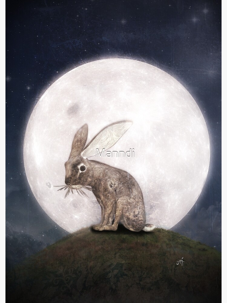 night-rabbit-art-print-by-manndi-redbubble