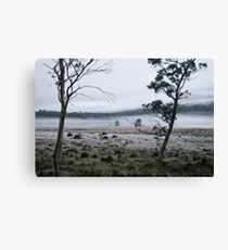 Crisp Canvas Print