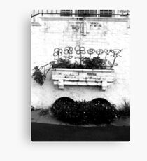 new growth Canvas Print