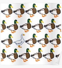 Duck Duck Goose - Silly Goose, You're no Duck! Poster