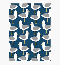 Seagull 4.0 Photographic Print