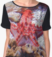 starfish 13 shirts