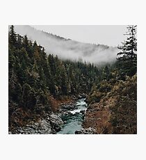 Fluss im Wald Fotodruck