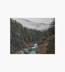 Fluss im Wald Galeriedruck