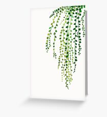 Green string of pearls ink illustration botanical nature Greeting Card