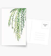 Green string of pearls ink illustration botanical nature Postcards