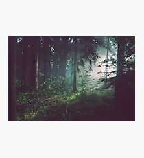 MINDS IN NATURE MODERN PRINTING 1 Pc #26742324 Photographic Print