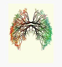 The Root of Lungs Photographic Print