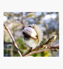 Message Photographic Print