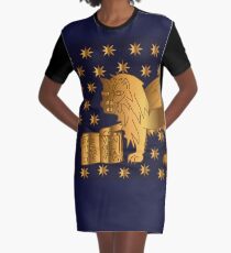 Venetian Lion Graphic T-Shirt Dress