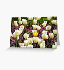 Lonely Yellow Tulip Greeting Card