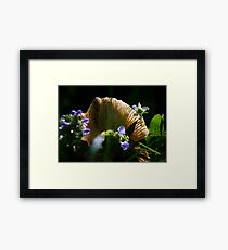 Back-Lit Mushroom Cap With Flowers Framed Print