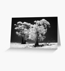 038 Trees in IR Greeting Card
