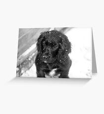 Jez Greeting Card