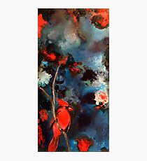 red cardinal Photographic Print