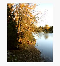 Lake shore in autumn Photographic Print