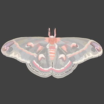 Moth Sticker, Cecropia Moth Insect Sticker, Waterproof Vinyl Art Stick -  studiotuesday