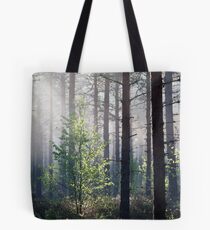 10.6.2017: Young Birch Tote Bag