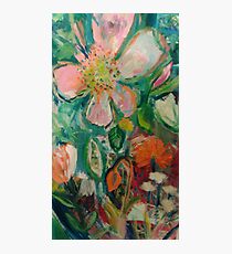 Wild Rose Photographic Print