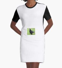 Little Rook Graphic T-Shirt Dress