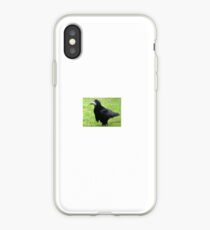 Little Rook iPhone Case