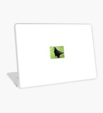 Little Rook Laptop Skin