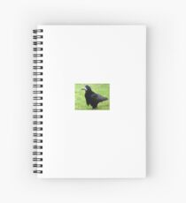 Little Rook Spiral Notebook