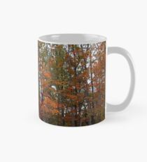 Colorful Cuyahoga Mug