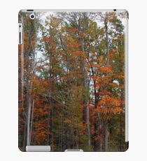 Colorful Cuyahoga iPad Case/Skin