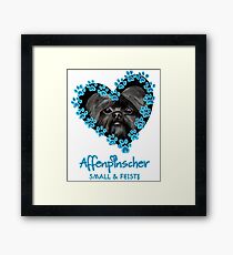 Affenpinscher - superdog Framed Print