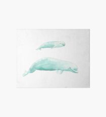 Beluga Wale Galeriedruck