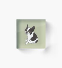 Say hello to the cute double hooded pied French Bulldog Acrylic Block