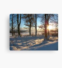 Snow Scene Canvas Print