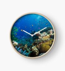 Great Barrier Reef Korallen Wunderland Uhr