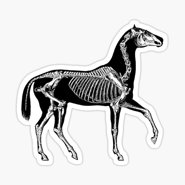 Animal Science Gifts & Merchandise | Redbubble