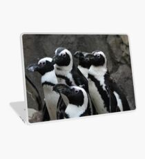 African Black-footed Penguin Laptop Skin