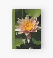 Exotic Colors - A Soft Coral Waterlily Hardcover Journal