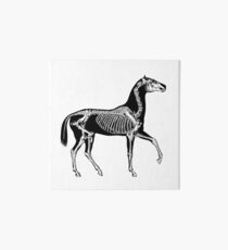 Black horse with skeleton Art Board